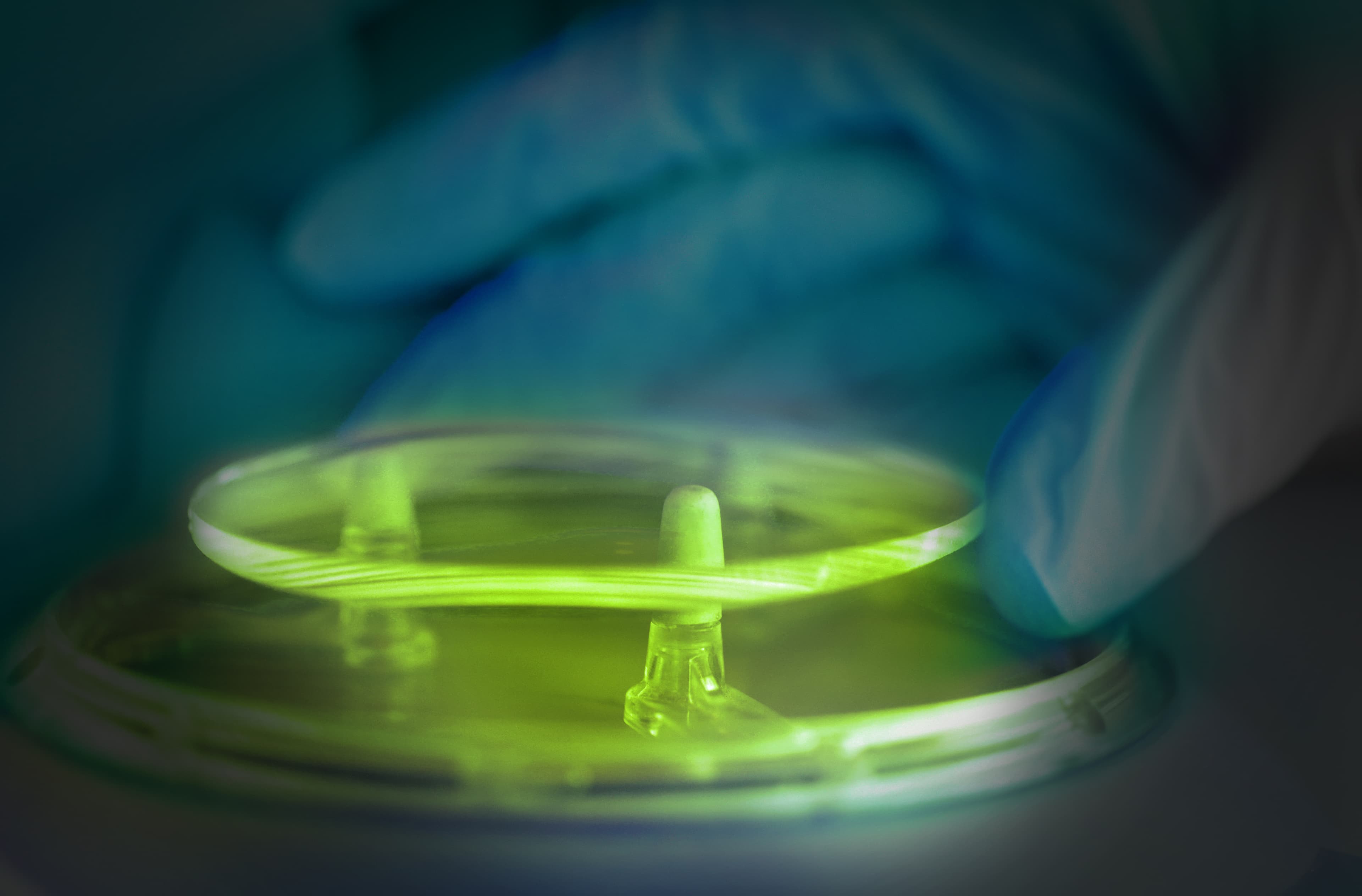 iStock-508070777-lime dark